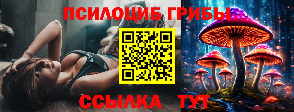 наркотики  Псилоцибиновые грибы Psilocybine cubensis  Вход с VPN  Галлюциногенные грибы мухоморы  Советский 